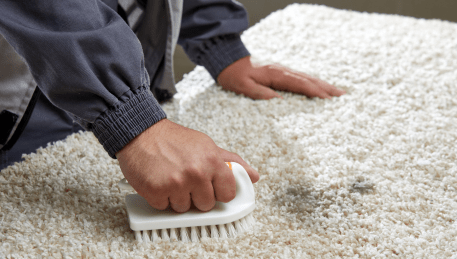 Professional Rug Cleaning Collingwood