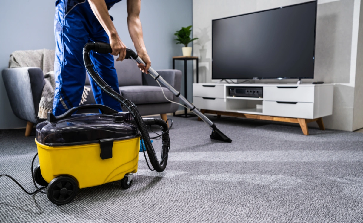 Extract Rug Cleaning Collingwood Contact Office